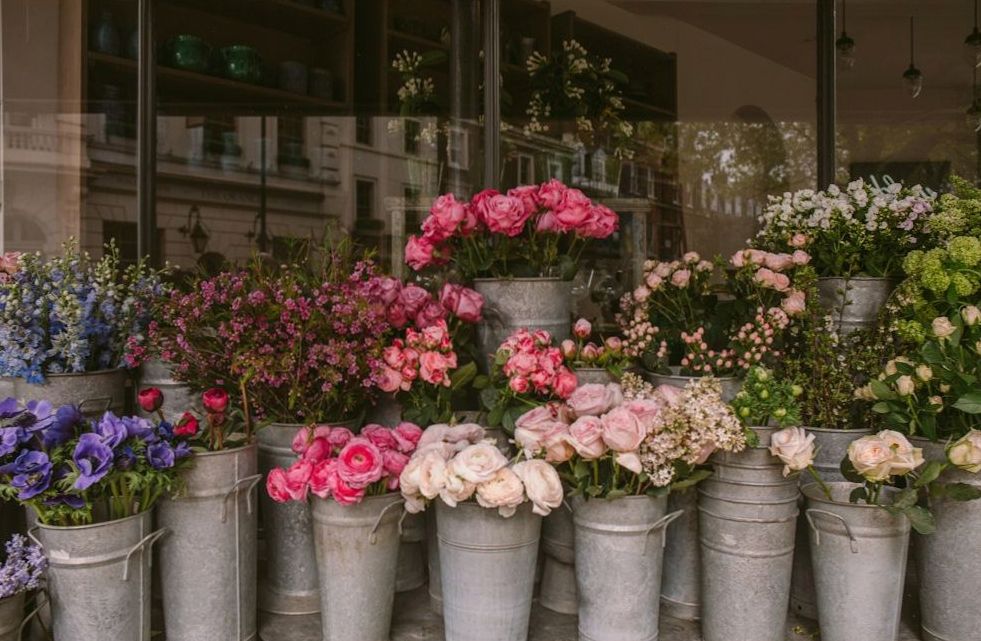 Fitzroy Rose Cascade with peach and blush garden roses