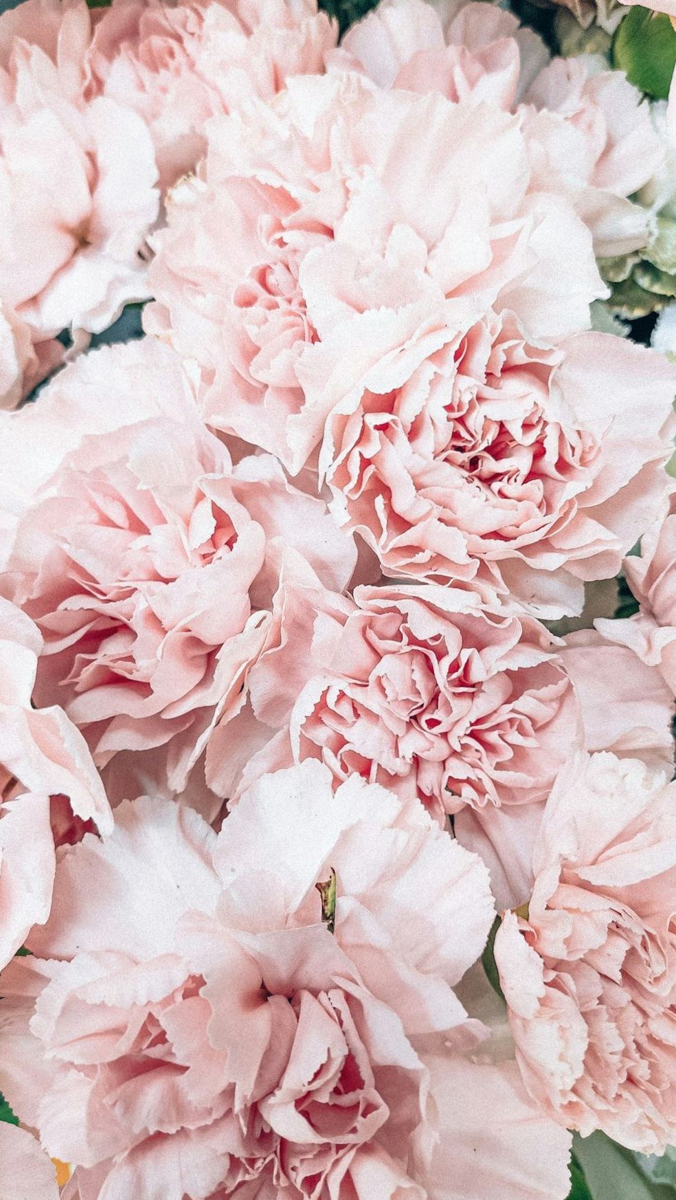 Garden Harmony signature bouquet with blush roses and lisianthus